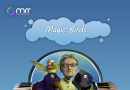 Magic Birds
